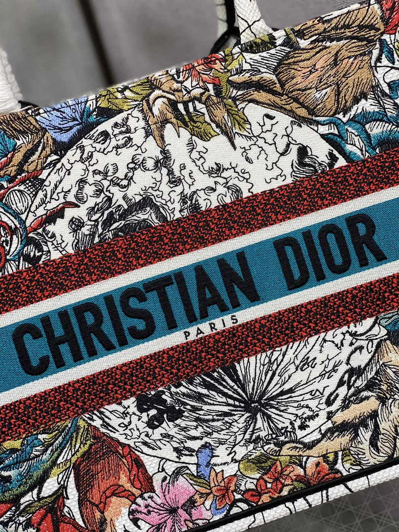 Dior Medium Book Tote M1296 Embroidery M20H2