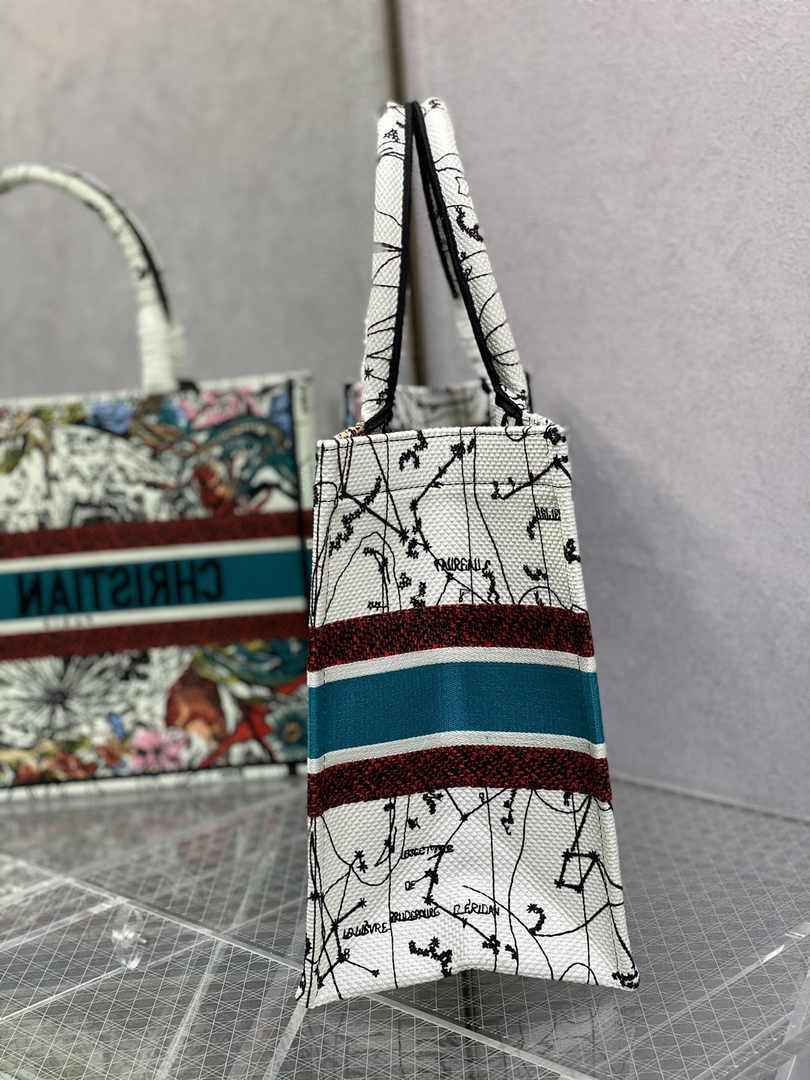 Dior Medium Book Tote M1296 Embroidery M20H2