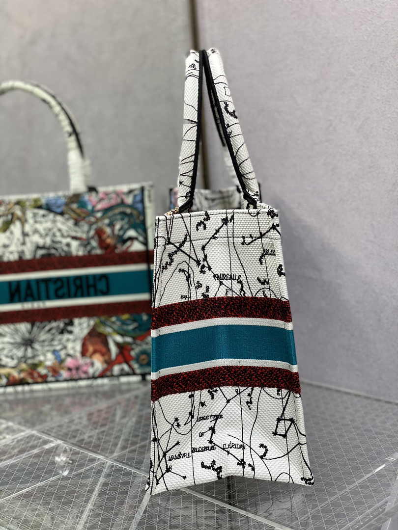 Dior Medium Book Tote M1296 Embroidery M20H2