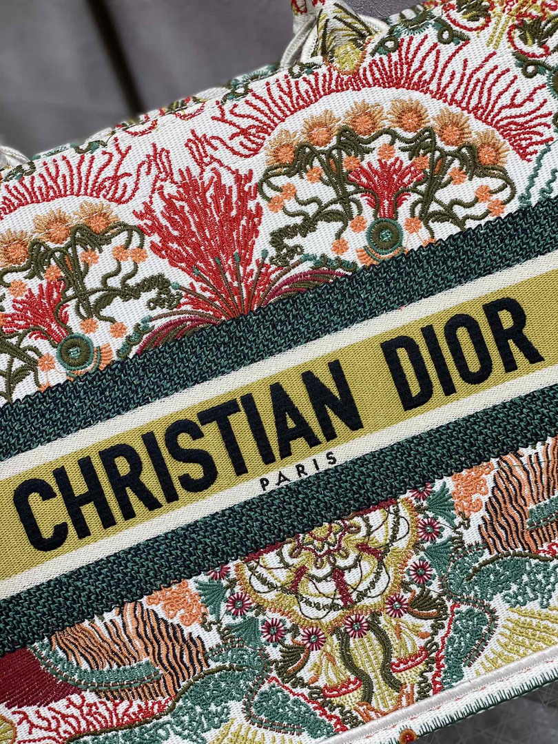 Dior Medium Book Tote M1296 Embroidery M20H6