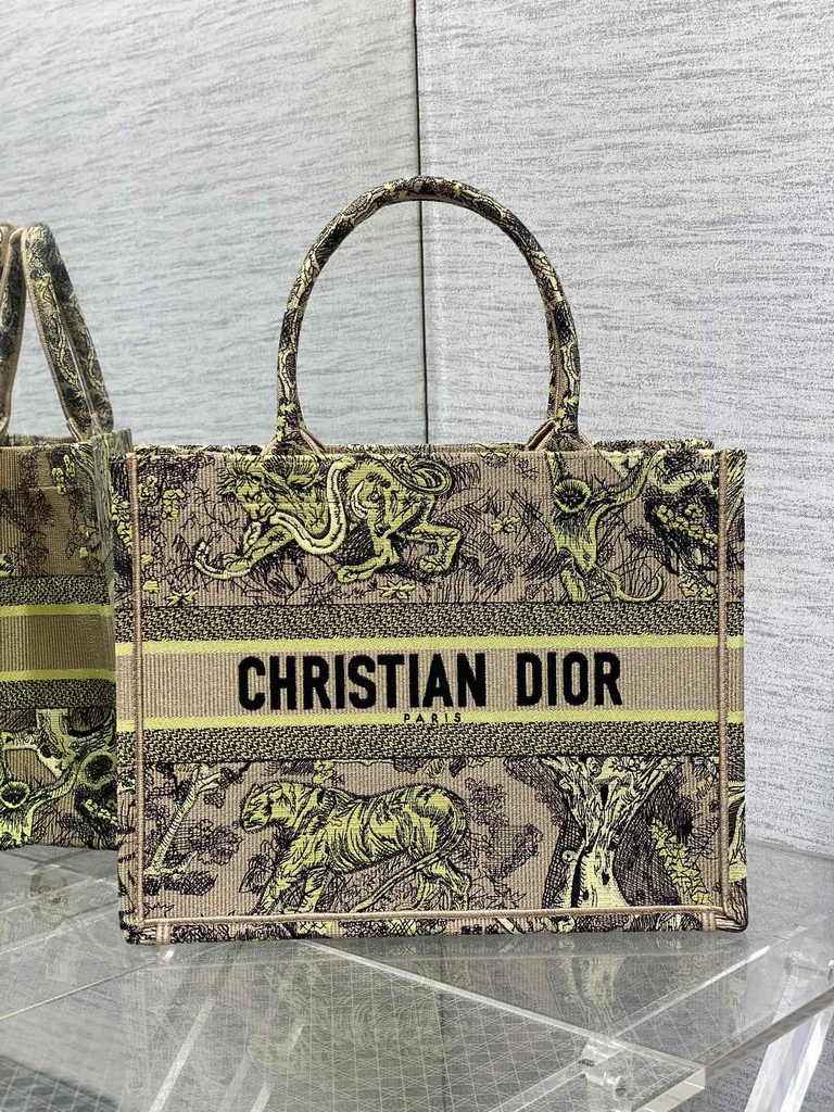 Medium Dior Book Tote M1296 Embroidery M76A