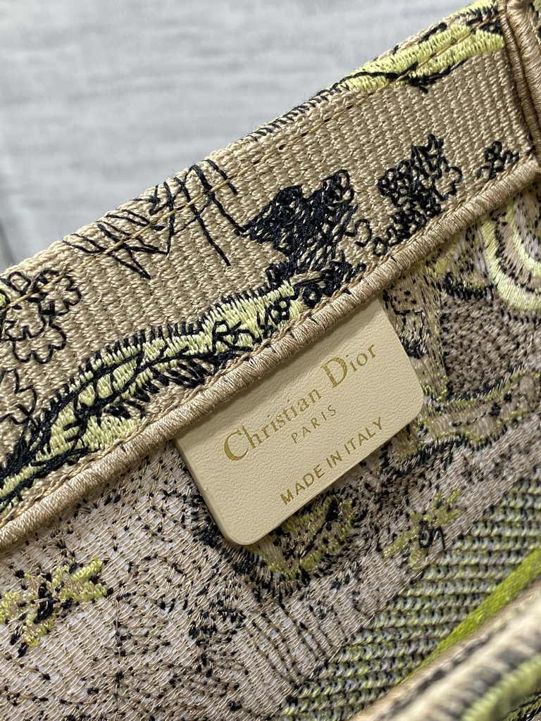 Medium Dior Book Tote M1296 Embroidery M76A