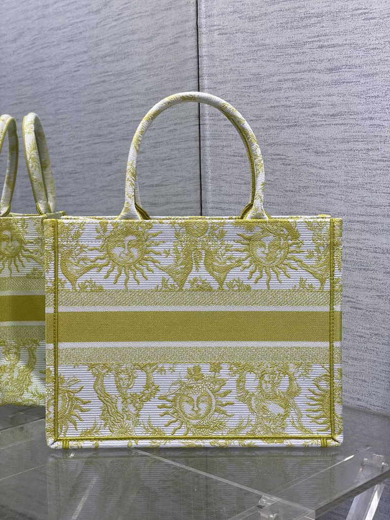 Medium Dior Book Tote M1296 Embroidery M76F