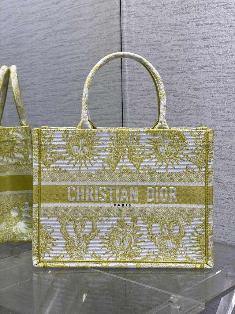 Medium Dior Book Tote M1296 Embroidery M76F