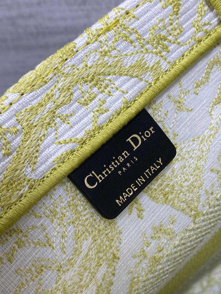 Medium Dior Book Tote M1296 Embroidery M76F