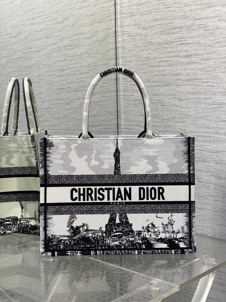 Medium Dior Book Tote M1296 Embroidery M76G