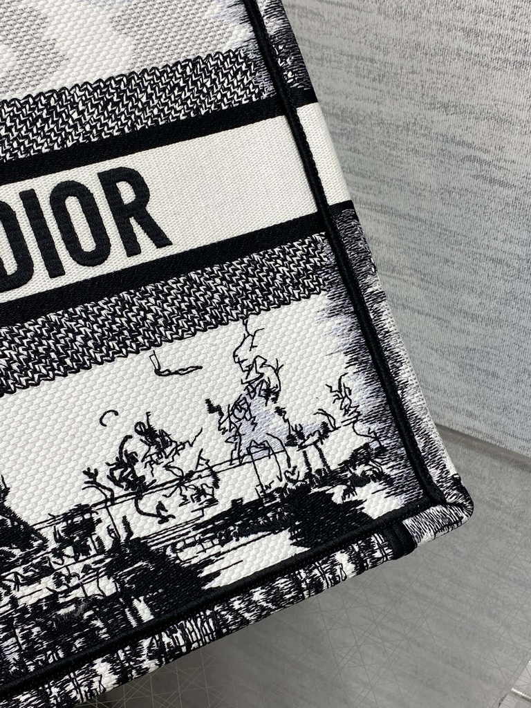 Medium Dior Book Tote M1296 Embroidery M76G
