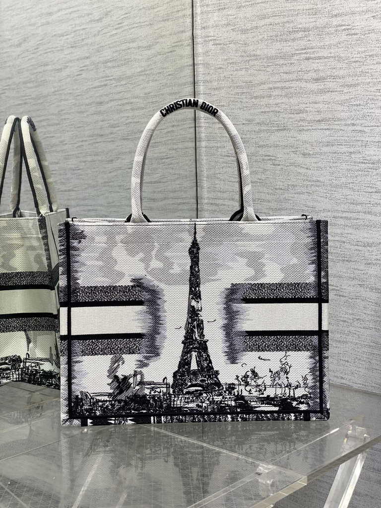 Medium Dior Book Tote M1296 Embroidery M76G