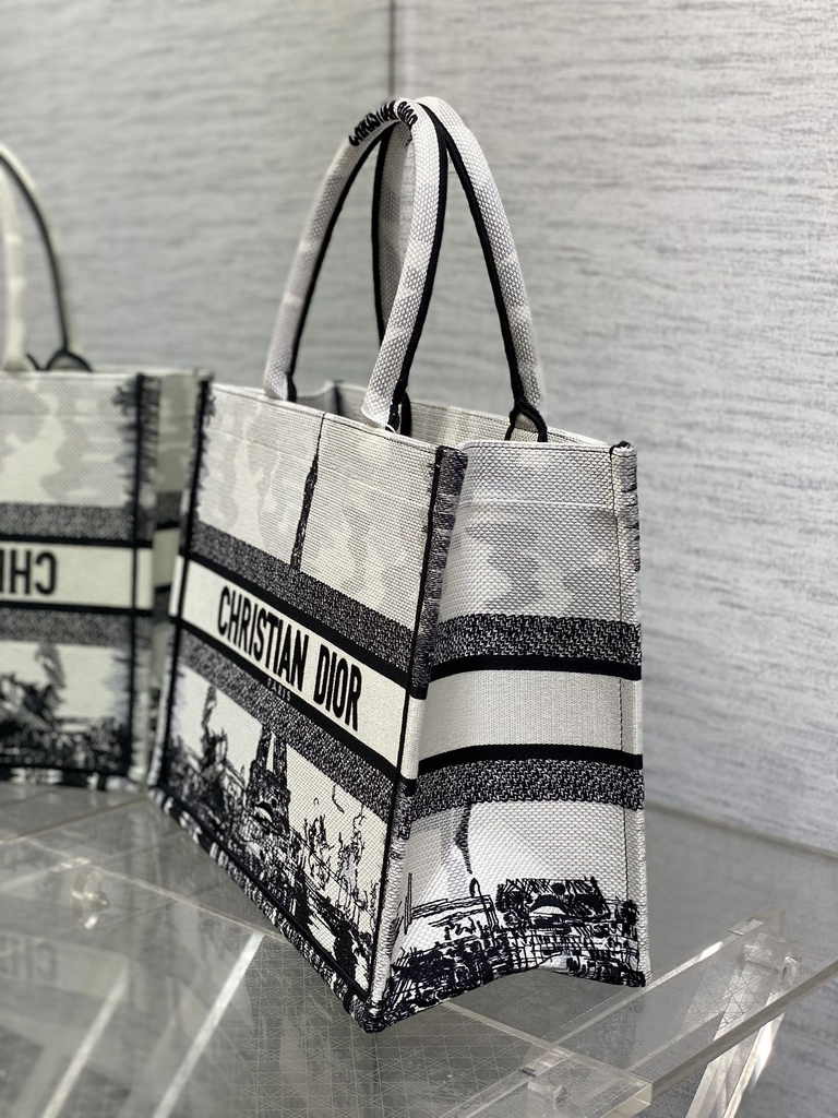 Medium Dior Book Tote M1296 Embroidery M76G