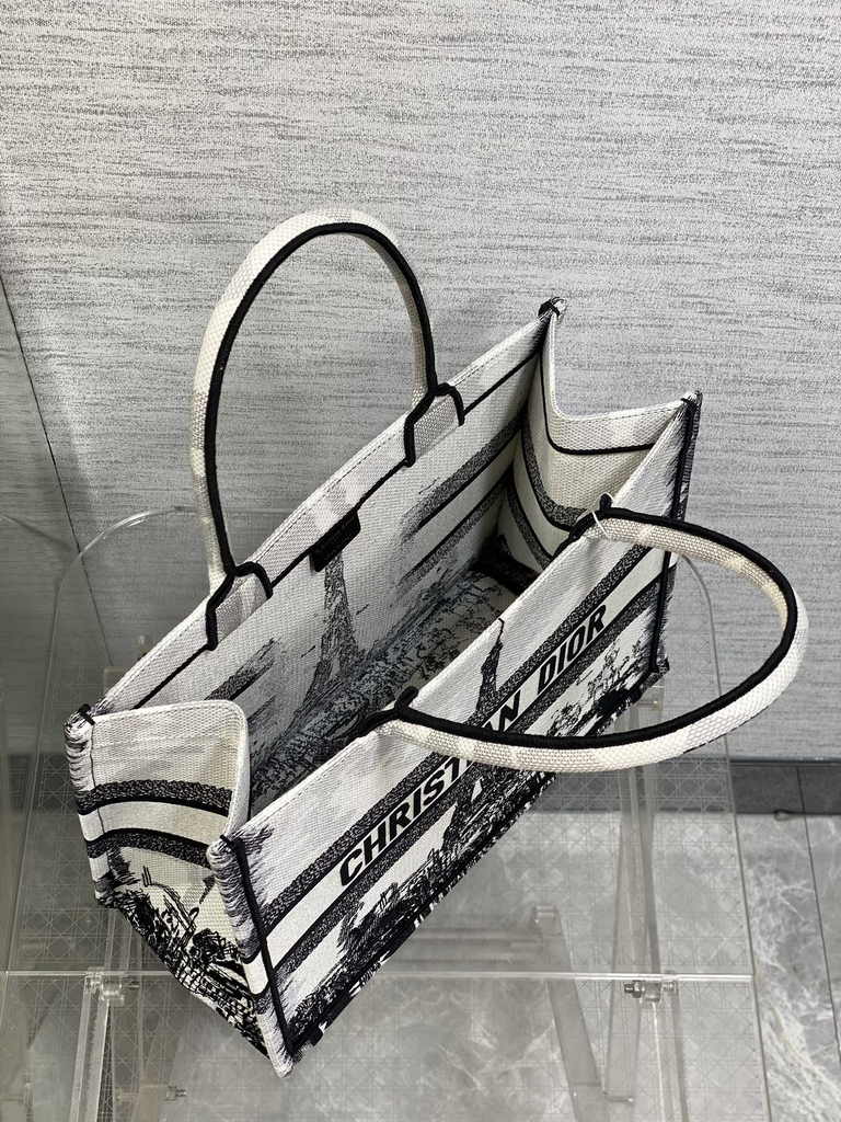 Medium Dior Book Tote M1296 Embroidery M76G