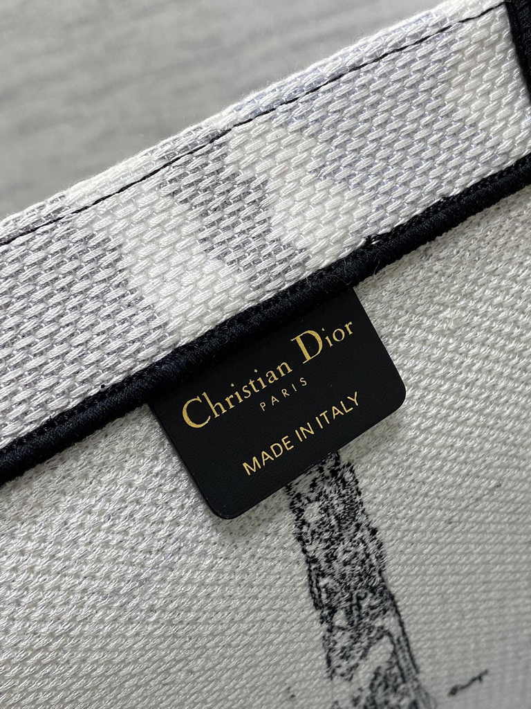 Medium Dior Book Tote M1296 Embroidery M76G