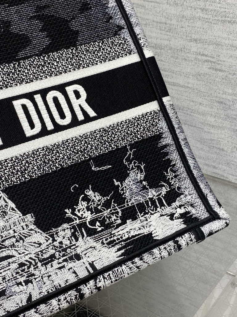 Medium Dior Book Tote M1296 Embroidery M76H
