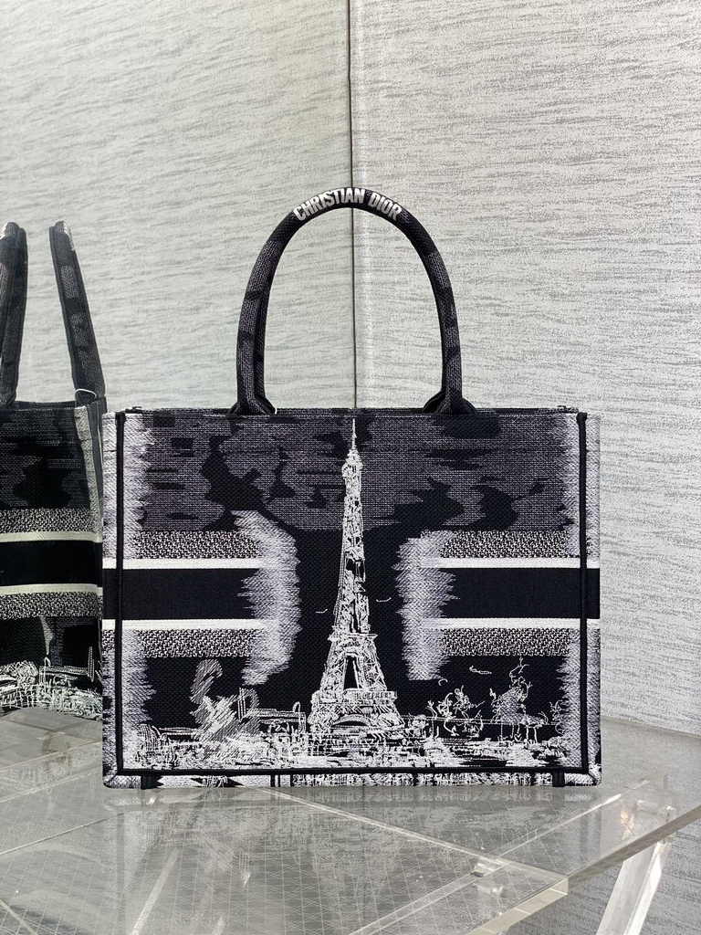 Medium Dior Book Tote M1296 Embroidery M76H