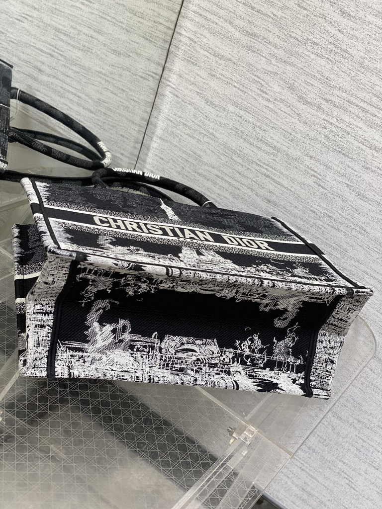 Medium Dior Book Tote M1296 Embroidery M76H