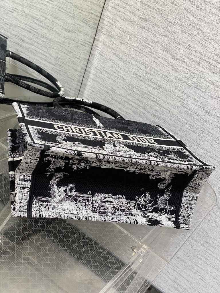 Medium Dior Book Tote M1296 Embroidery M76H