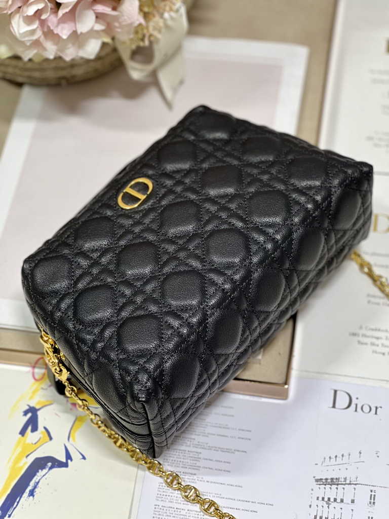 Dior Caro D-Cosy Mini Bag S2169 Black Supple Cannage Calfskin