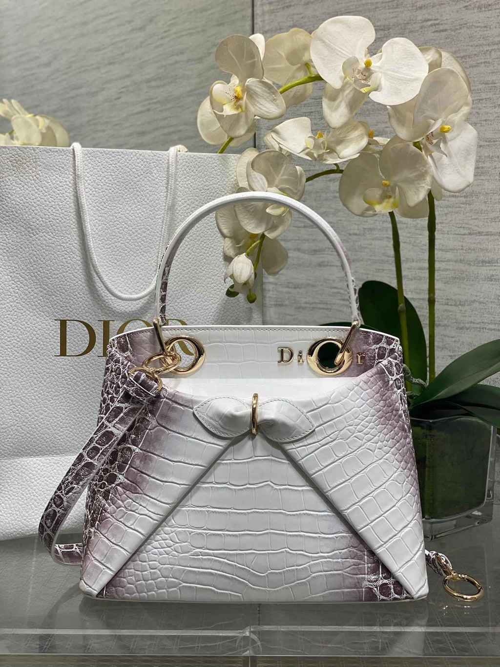 Dior Cigale Top Handle Bag - M0737 - Gray Crocodile Leather - Default Title - View 1