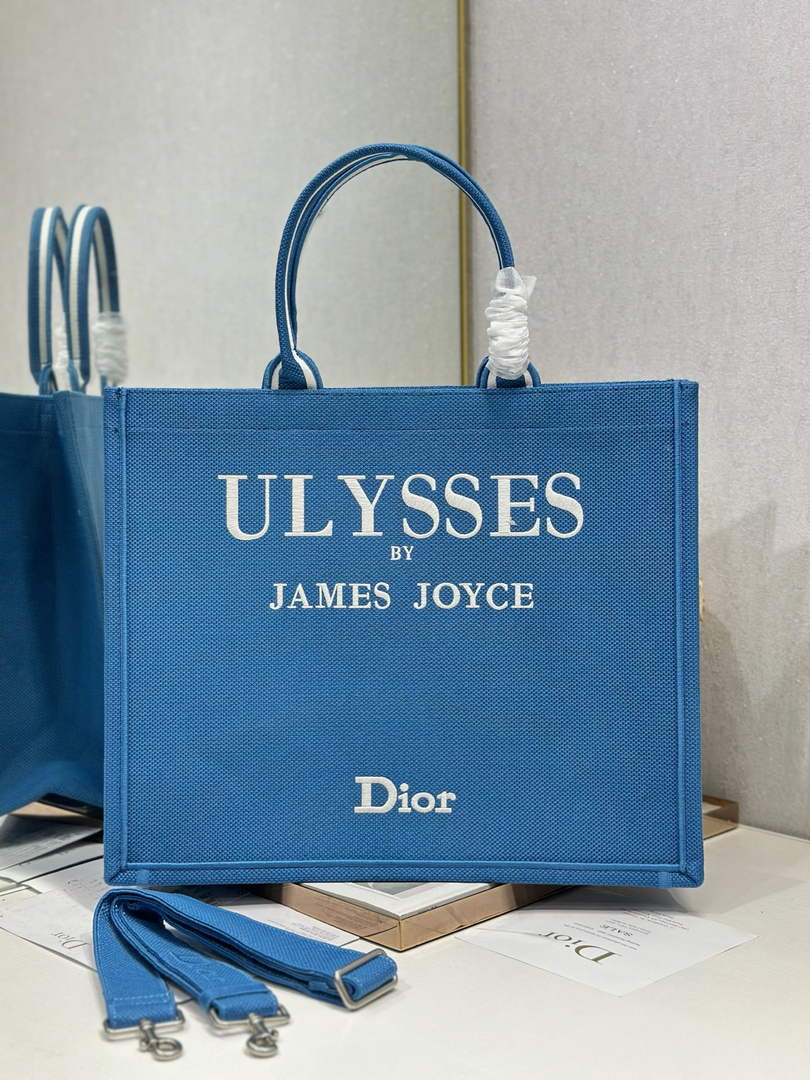 Dior Large Book Tote – Blue and White Toile de Jouy Embroidery – Cotton Canvas - Default Title - View 2