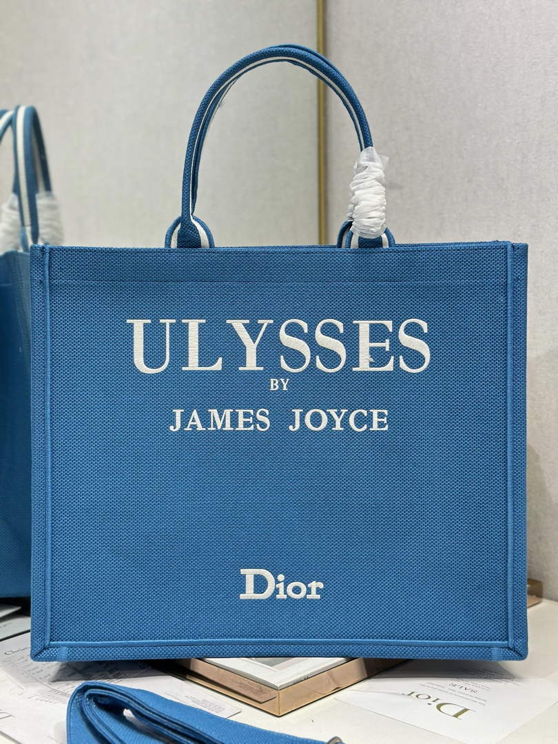 Dior Large Book Tote – Blue and White Toile de Jouy Embroidery – Cotton Canvas - Default Title - View 1