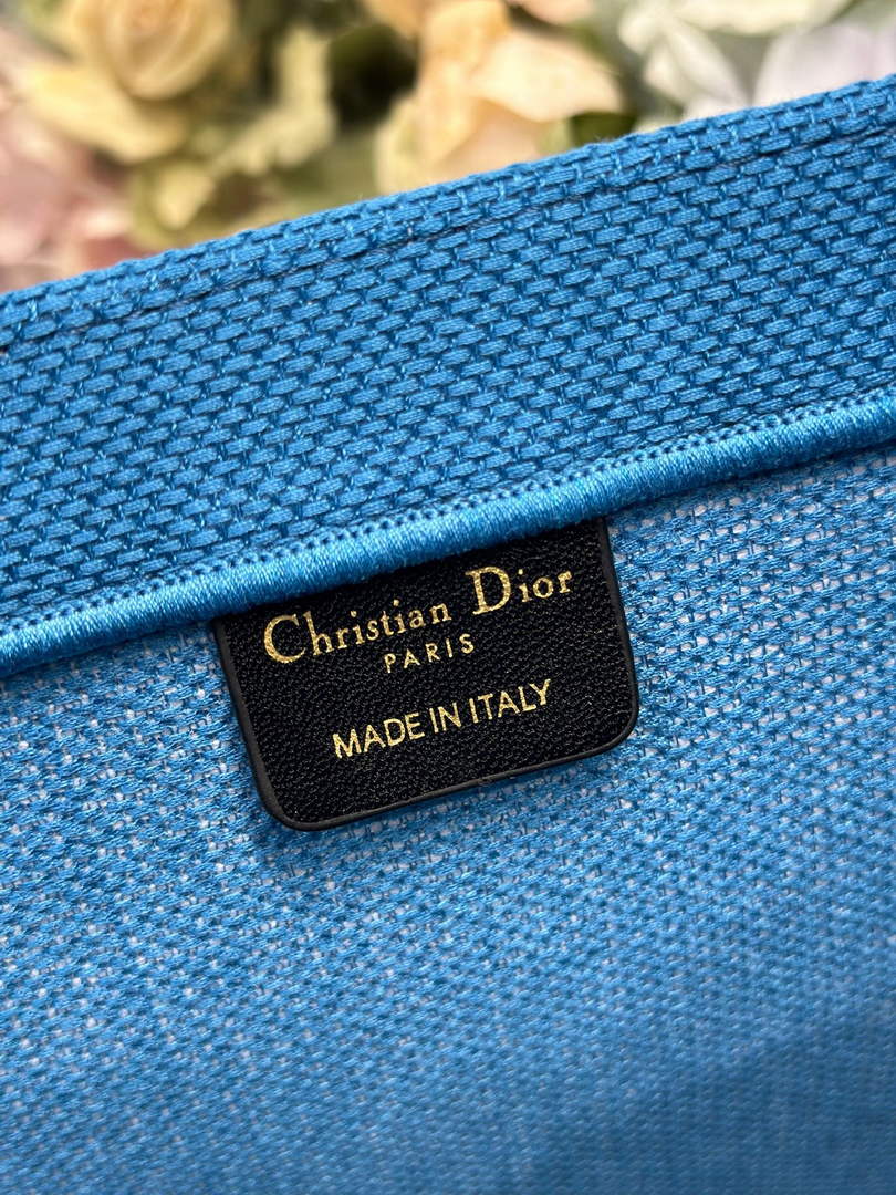 Dior Large Book Tote – Blue and White Toile de Jouy Embroidery – Cotton Canvas - Default Title - View 8