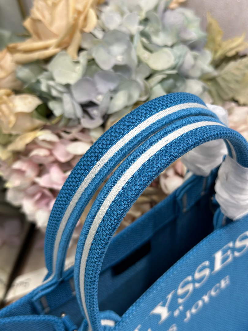 Small Dior Book Tote – Blue and White Toile de Jouy Embroidery – with Strap - Default Title - View 5