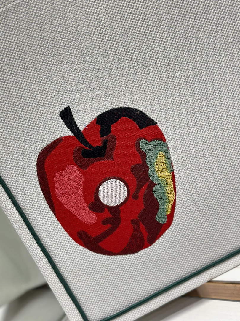 Large Dior Book Tote – Multicolor Book Cover Embroidery