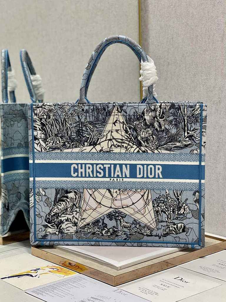Dior Large Book Tote Bag M1286 Embroidery Blue Multicolor