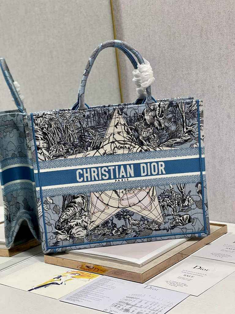 Dior Large Book Tote Bag M1286 Embroidery Blue Multicolor