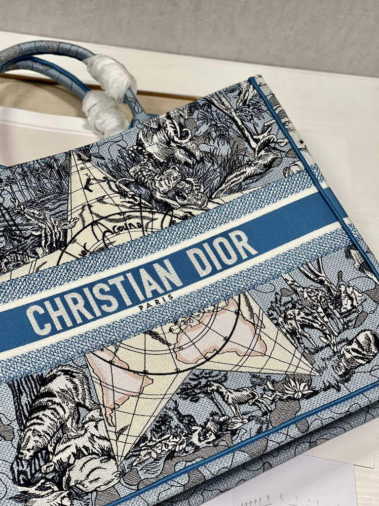 Dior Large Book Tote Bag M1286 Embroidery Blue Multicolor