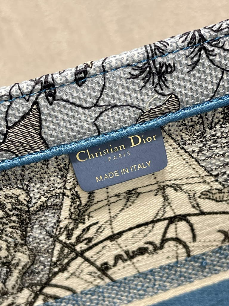 Dior Large Book Tote Bag M1286 Embroidery Blue Multicolor