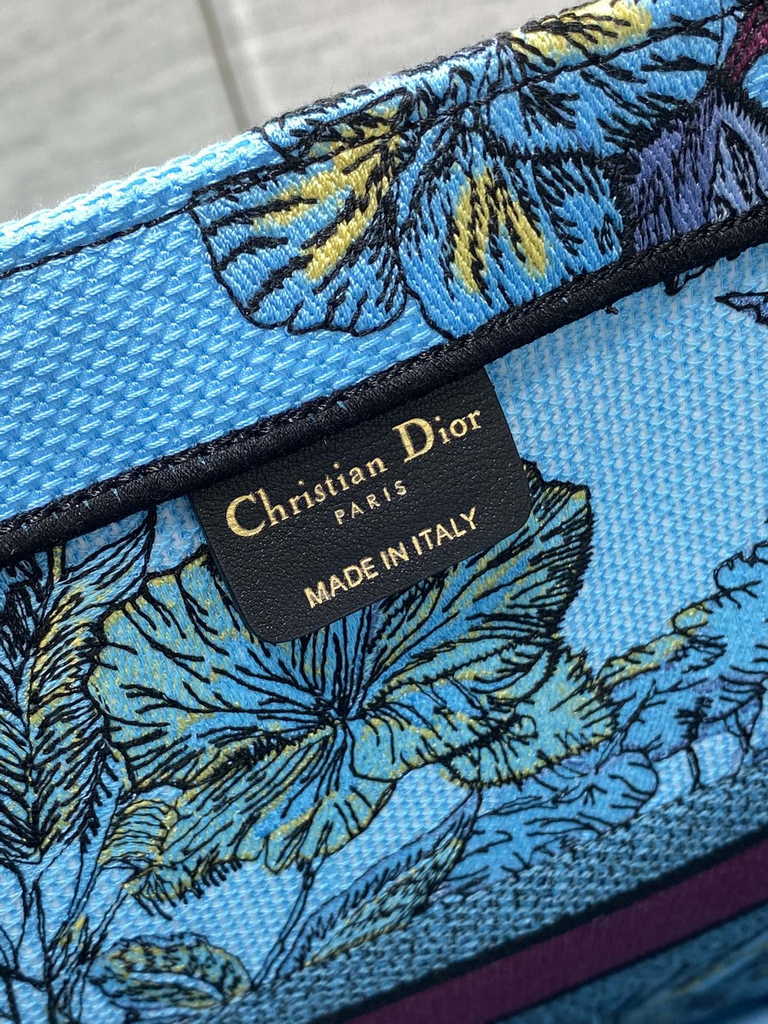 Dior Large Book Tote Bag M1286 Celestial Blue Multicolor Toile de Jouy Voyage Embroidery