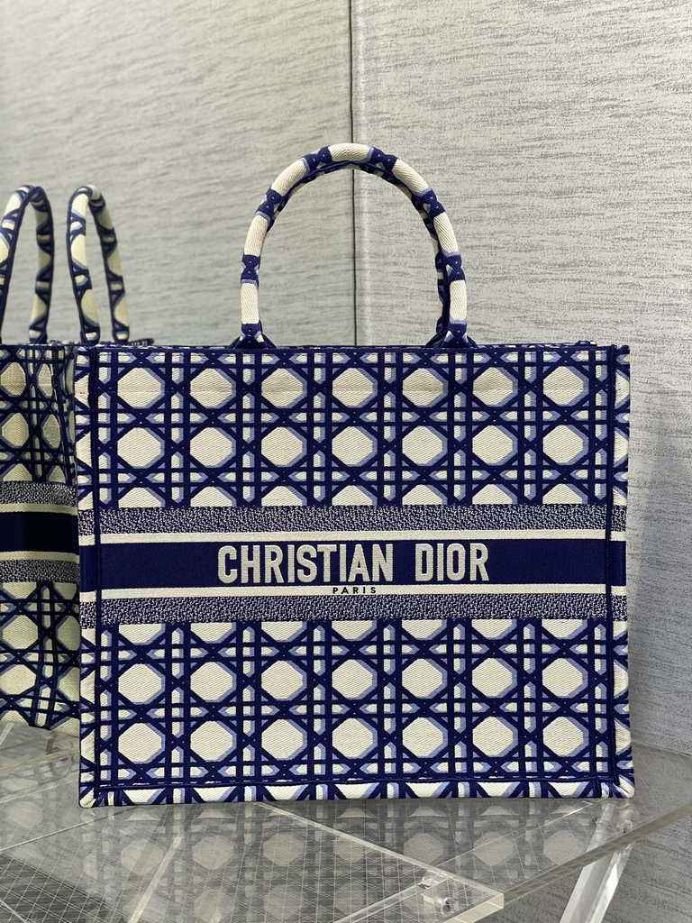 Dior Large Book Tote Bag M1286 Blue Multicolor Embroidery