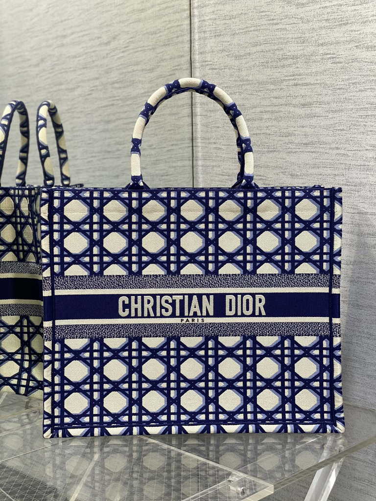 Dior Large Book Tote Bag M1286 Blue Multicolor Embroidery