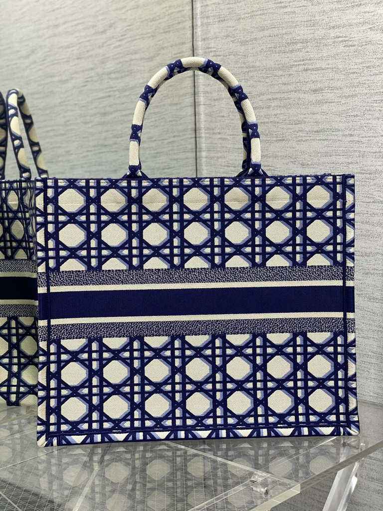 Dior Large Book Tote Bag M1286 Blue Multicolor Embroidery