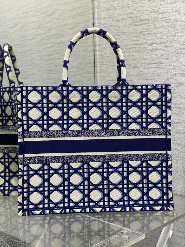 Dior Large Book Tote Bag M1286 Blue Multicolor Embroidery