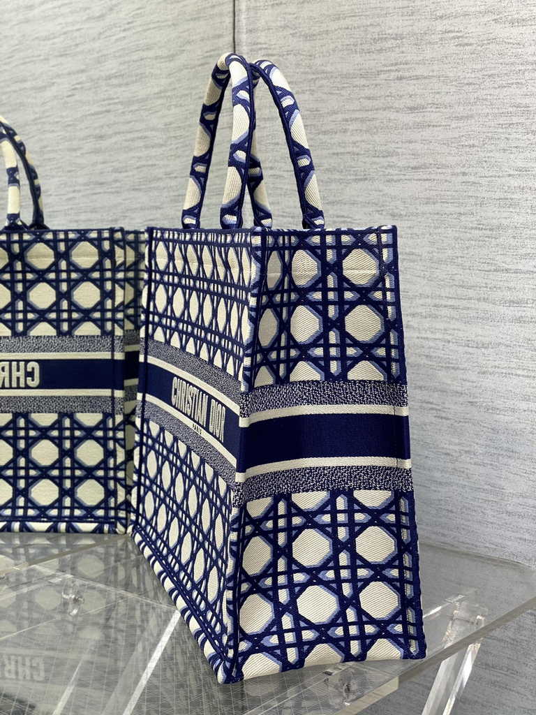 Dior Large Book Tote Bag M1286 Blue Multicolor Embroidery