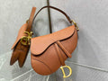 1. Dior M0455 Saddle Bag back view with magnetic flap closure