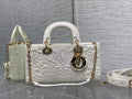 Dior M0540 Medium Lady D-Joy Bag Latte Quilted-Effect Lambskin Ornamental Motif