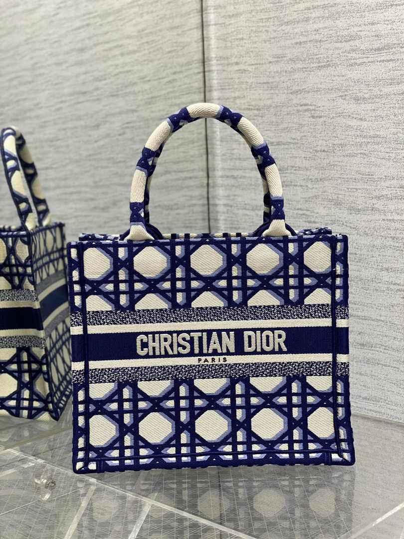 Dior Small Book Tote M1265 Beige and Blue Macrocannage Embroidery