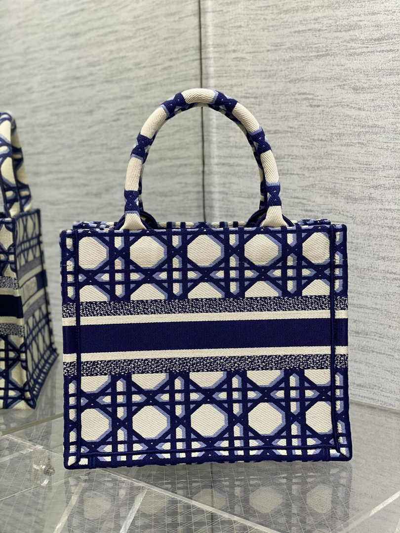 Dior Small Book Tote M1265 Beige and Blue Macrocannage Embroidery