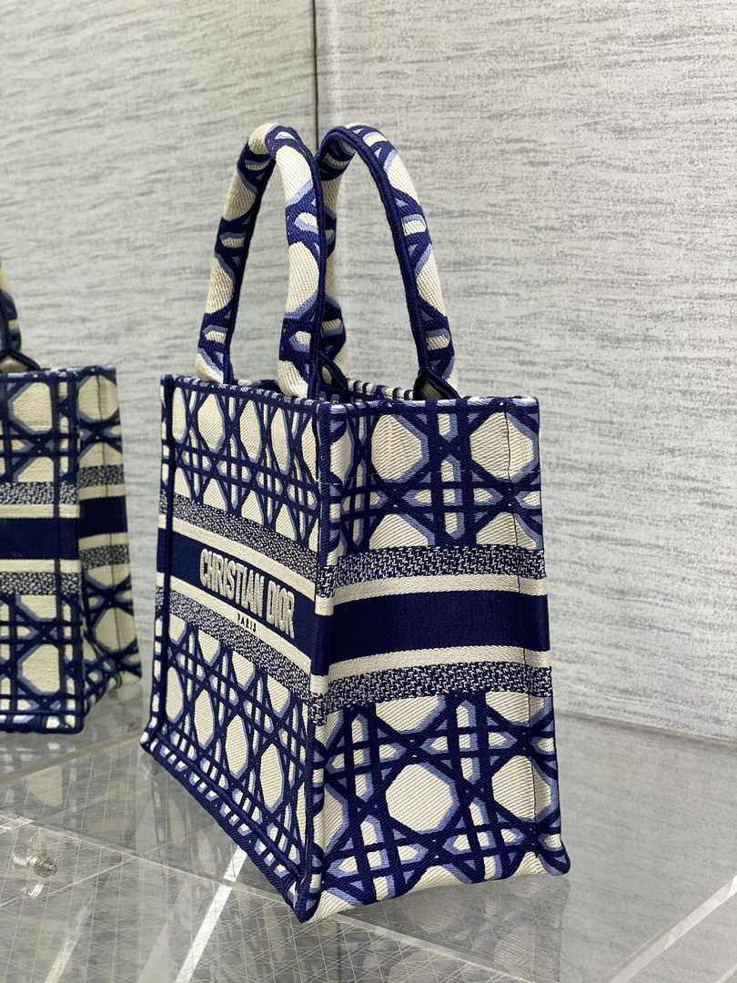 Dior Small Book Tote M1265 Beige and Blue Macrocannage Embroidery