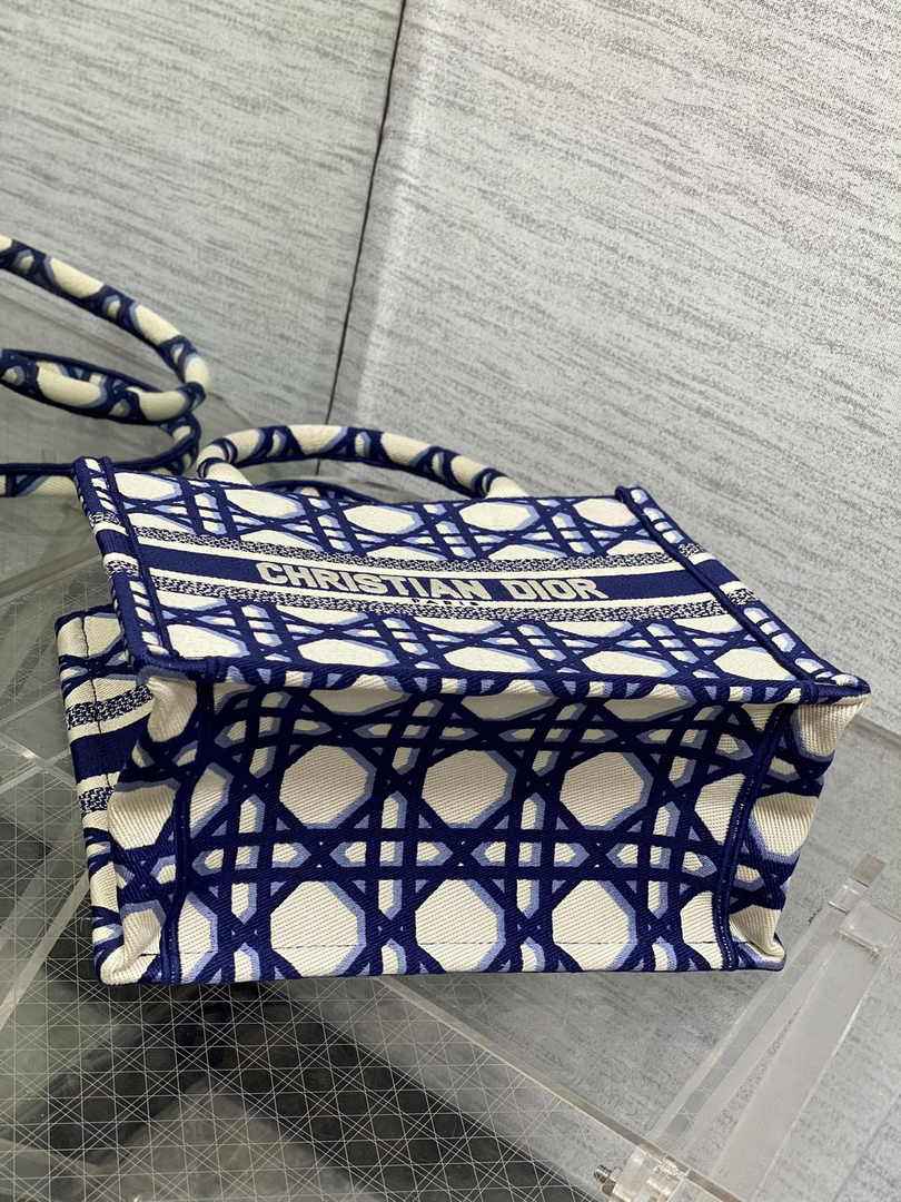 Dior Small Book Tote M1265 Beige and Blue Macrocannage Embroidery