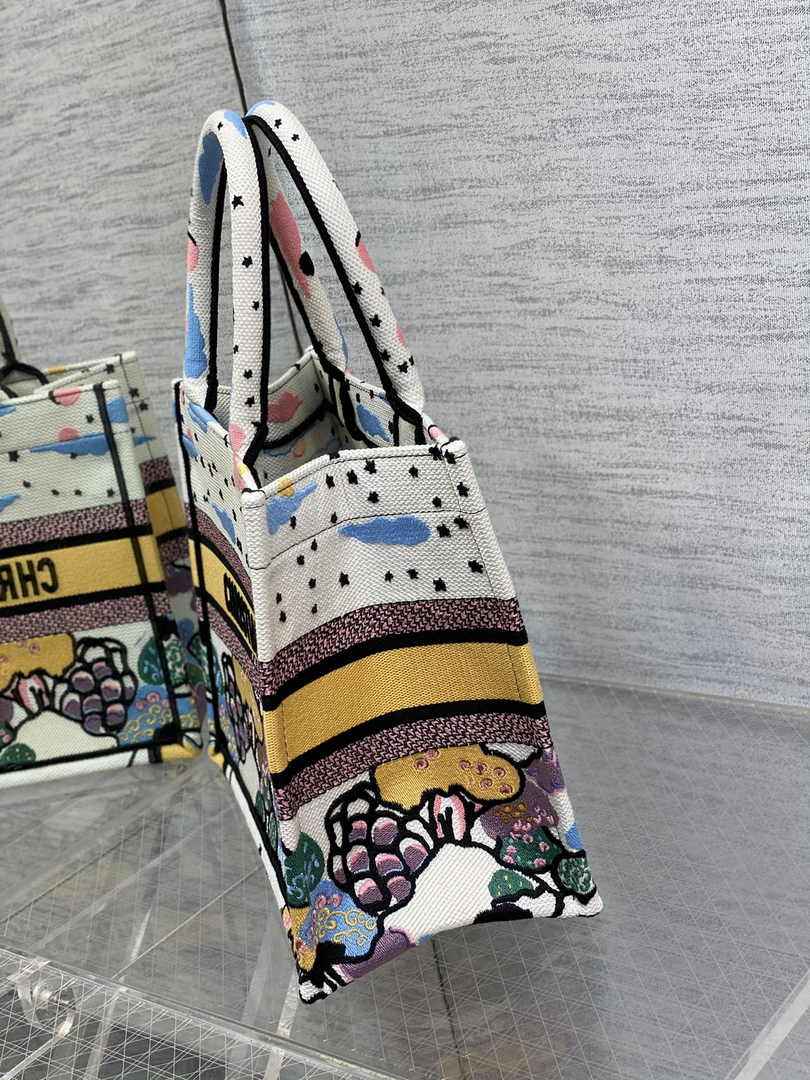 Dior M1265 Small Book Tote Latte Dior Ciel de Rêve Embroidery