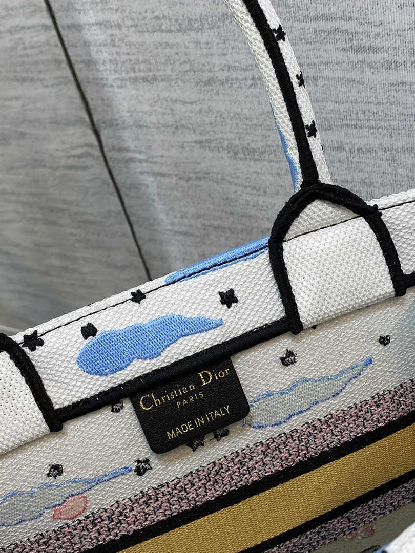Dior M1265 Small Book Tote Latte Dior Ciel de Rêve Embroidery