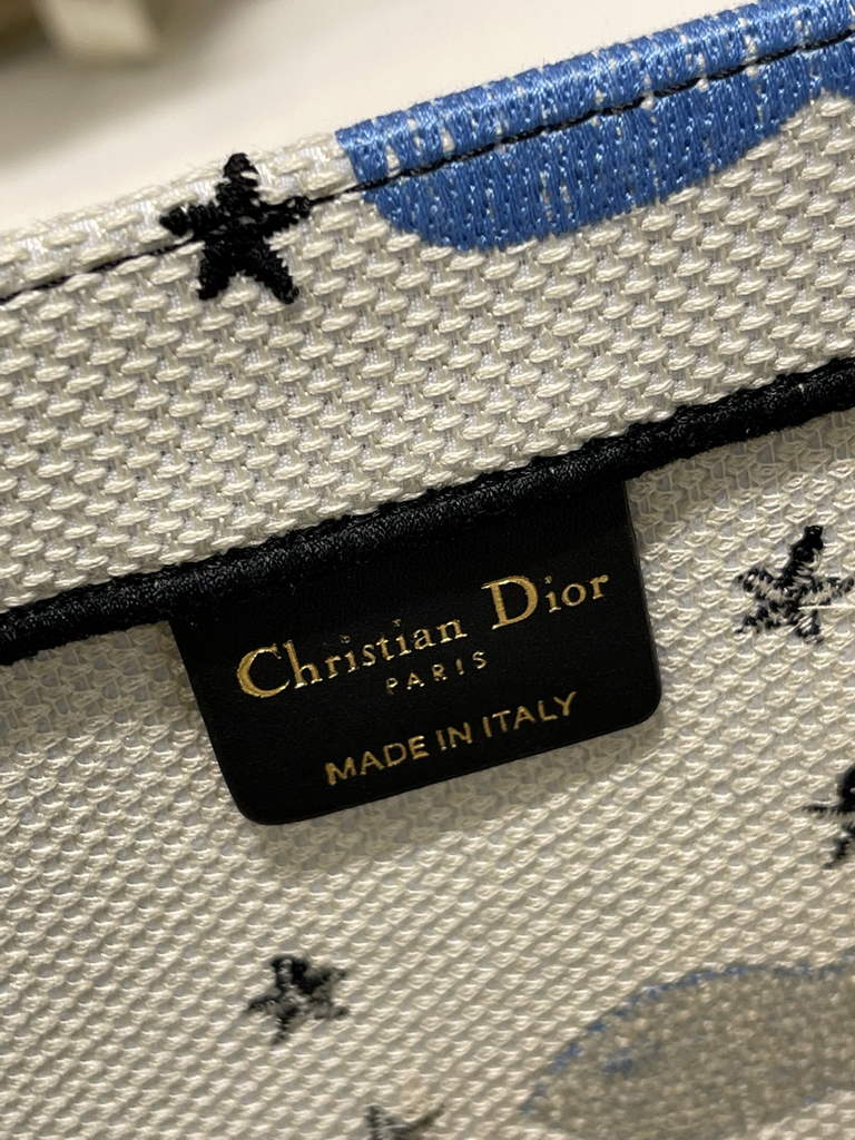 Dior Large Book Tote Bag M1286 Beige Multicolor Embroidery