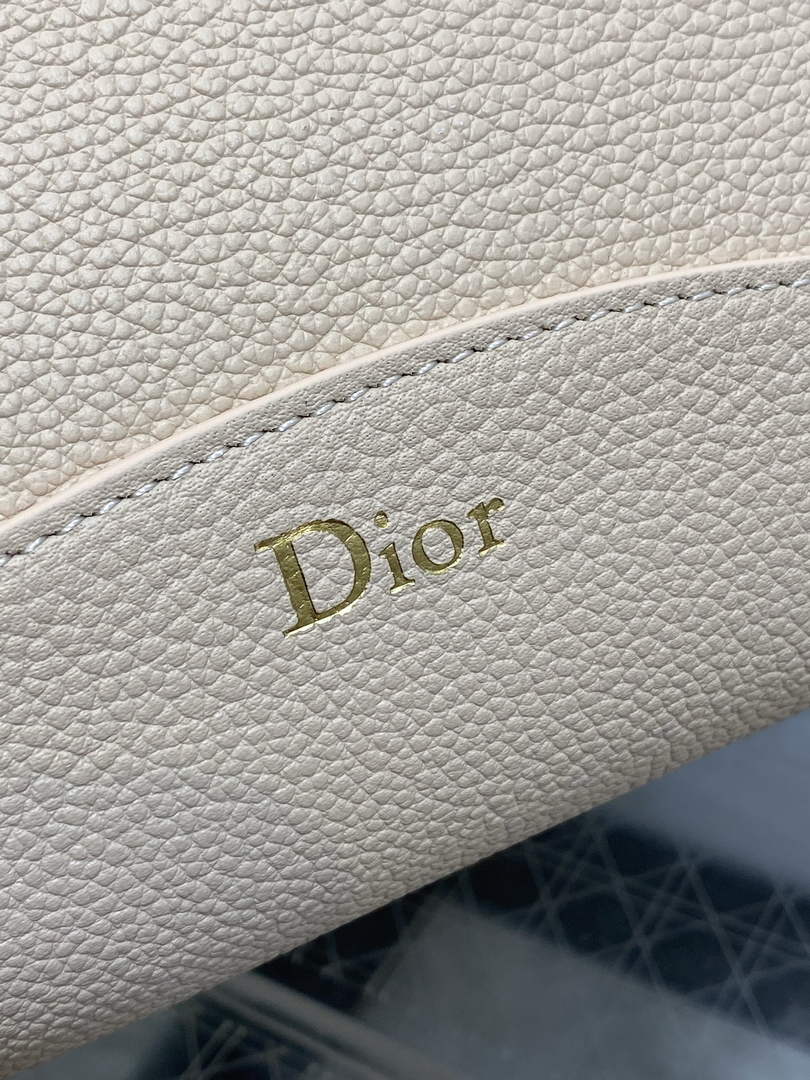 Medium Dior Médaillon Bucket Bag - Apricot Grained Calfskin M1532 - Default Title - View 4