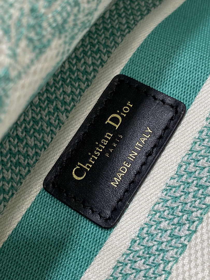 Dior Medium Dioriviera Lady D-Lite Bag M0565 Aquamarina Toile de Jouy Embroidery - Default Title - View 7