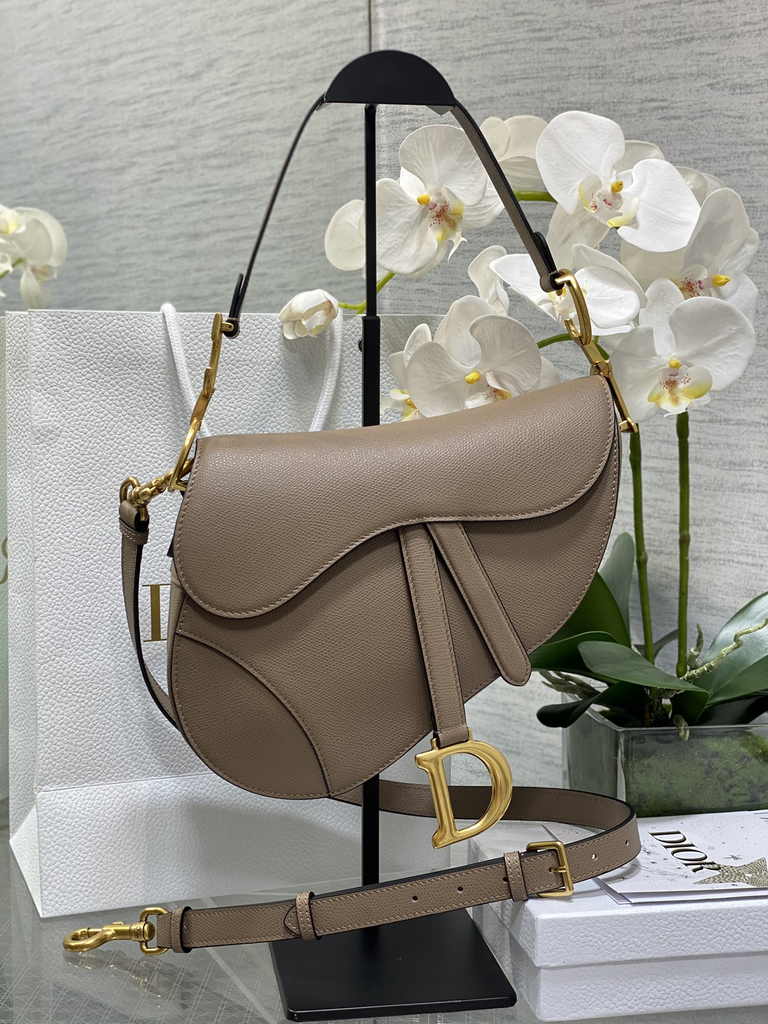 26. Dior Saddle Bag M0455 belt-inspired buckle on strap attachment