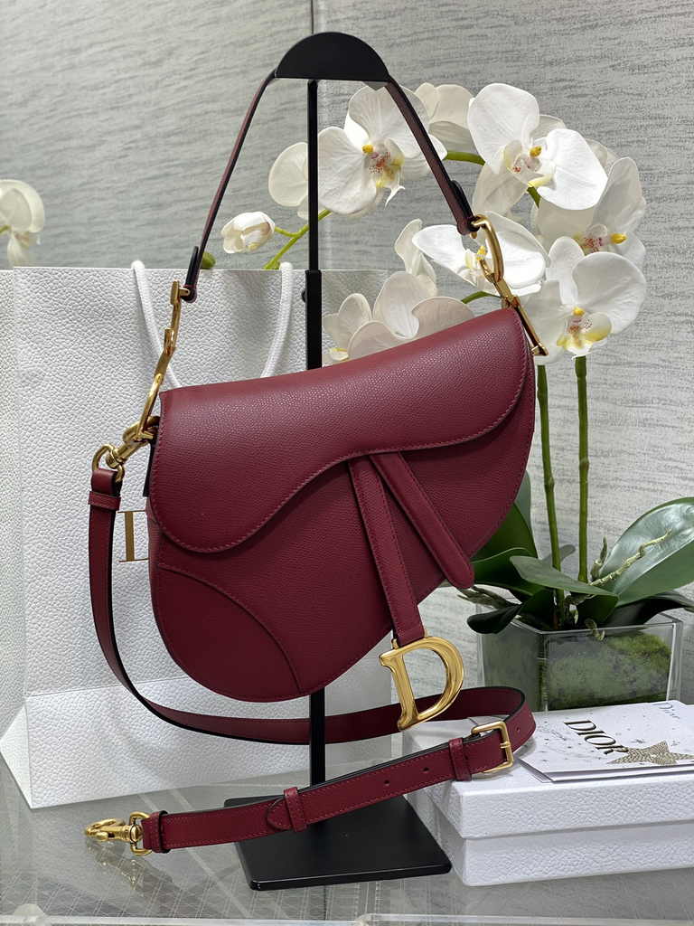 31. Dior M0455 Saddle Bag with strap hanging from hand against wall