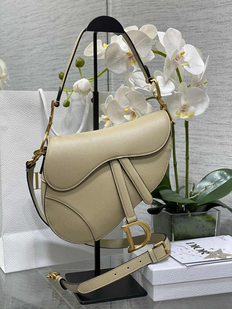 26. Dior M0455 Saddle Bag front pocket with dimensional fold